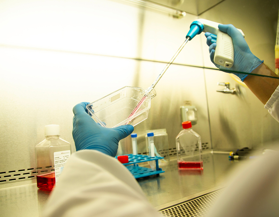 Biotechnology & Pharmaceutical