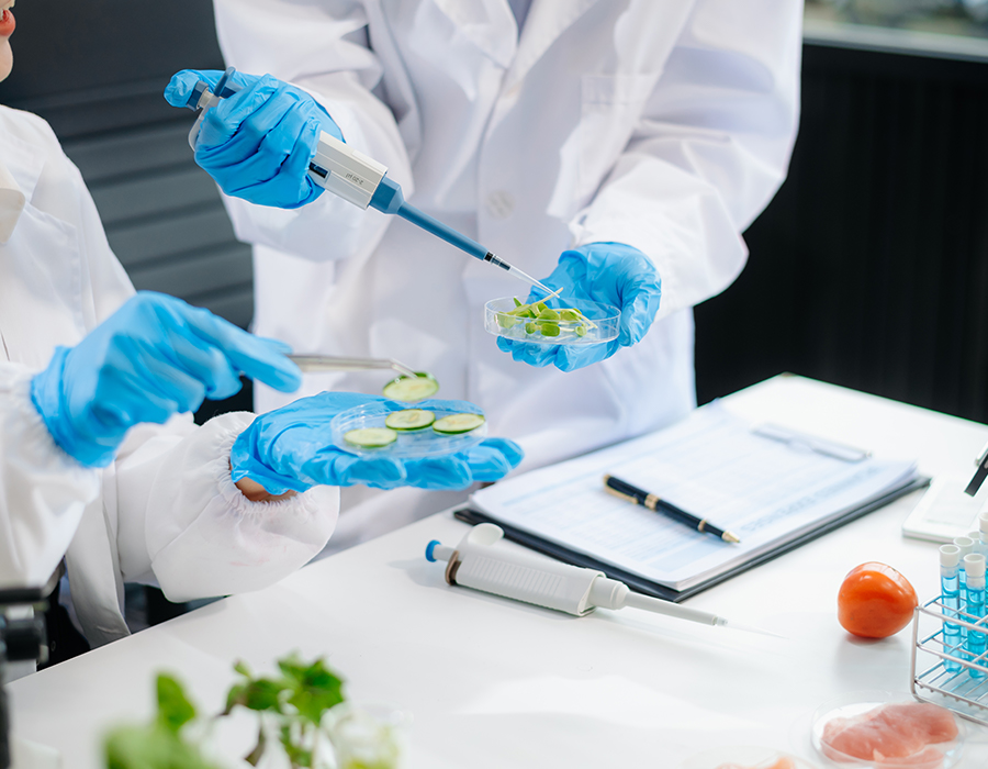 Food & Environmental Testing